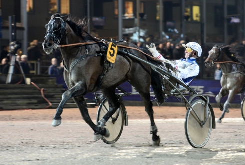 Foto av Malin Albinsson, TR Bild